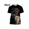 Border Collie 3D Printed T-Shirt Cute Puppy Printed O-Neck Short Sleeve T-Shirt Men Women Men
