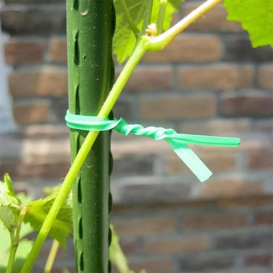 50/100 м Нейлоновая силовая петля из проволоки Лента для цветов Кабельная стяжка Проволока Многофункциональные ремешки Крепеж Многоразовые садовые кабельные стяжки Лента Поддержки