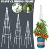 Outdoor Garden Metal Obelisk Climbing Plant Support Frame Trellis New