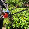 1 Set 24 Inch Fuel-efficient Low Voice High-powered Hedge Trimmer Double Side Blade 26cc Gas Bush Cutter
