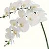 1 Elegant Artificial Orchid Marble Vase with Long Stems, White Orchids, Lush Green Leaves, Realistic Low Maintenance Home Decoration for Christmas