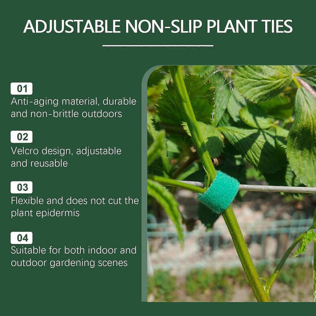 Plant Straps, Suitable For Both Indoor And Outdoor Use, Providing Vine Support And Anti-Toppling Adjustable Plant Straps