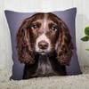 Pillowcase Cocker Spaniel  Modern Home Living Room Decoration