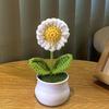 1PC Handmade Weaving Mini Potted Flowers DIY Home Office Desktop Decoration Potted Plants Wool Home Decoration