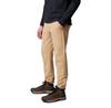 Columbia Black Mesa™ Trousers