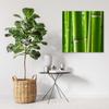 Canvas print, Bamboo details