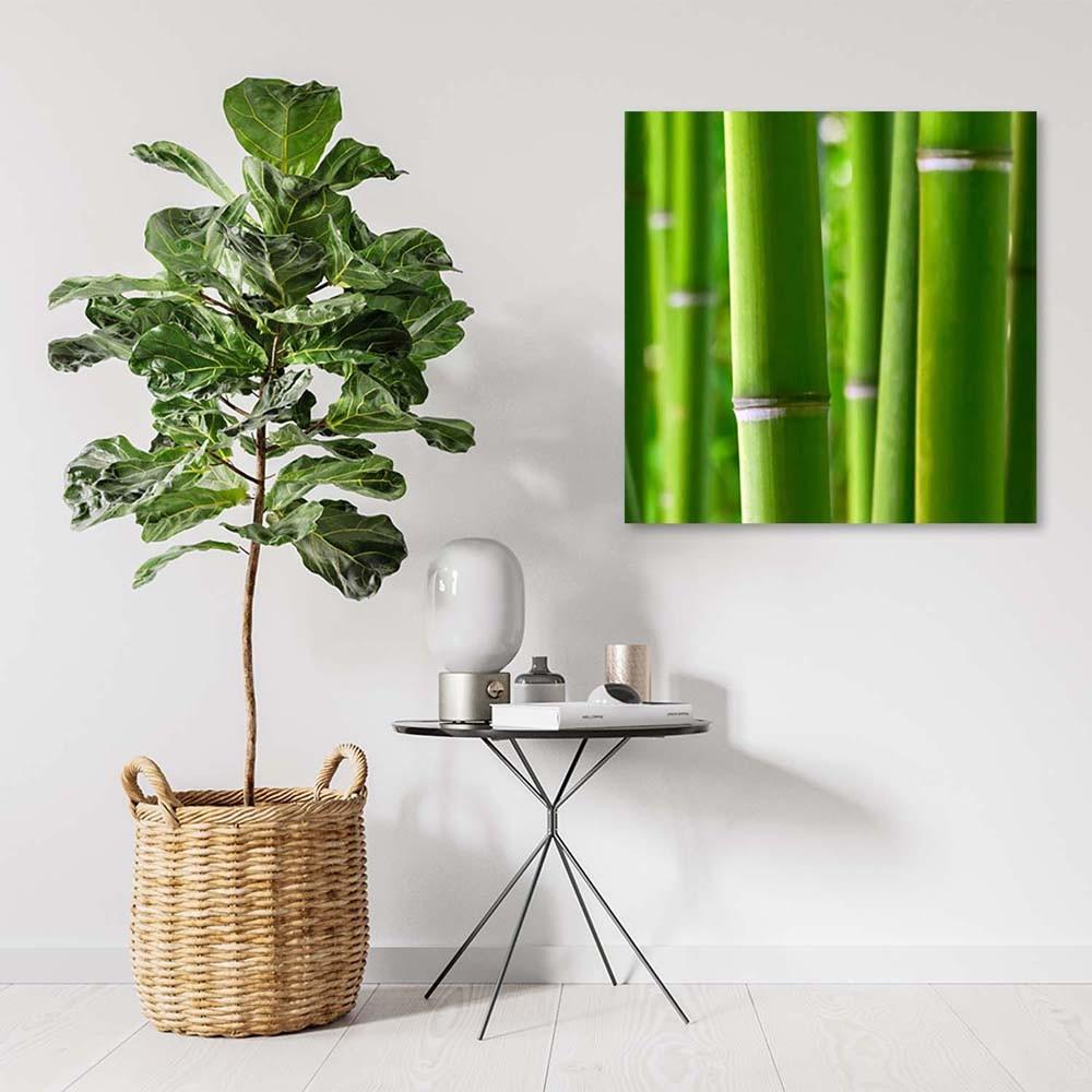 Canvas print, Bamboo details