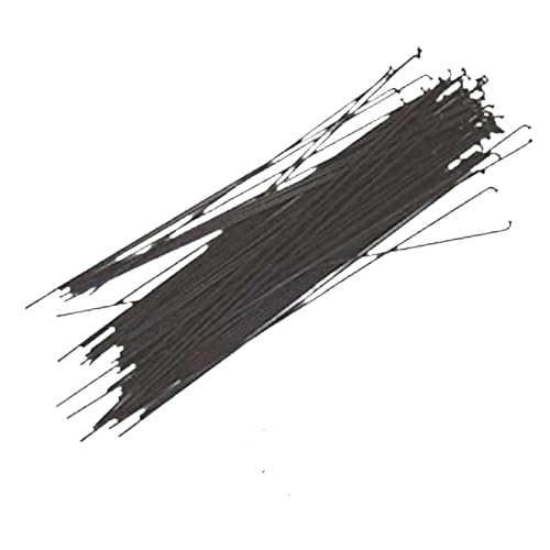 Черный SH (маленькая голова) спицы / 14-SB 13x204 Starbright black, 36 штук