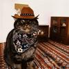 Cat Cowboy Hat Pet Headdress Western Hat Headdress for Taking Photos Cute Pet Hat Selling Cute Artifact Pet Photo Accessories