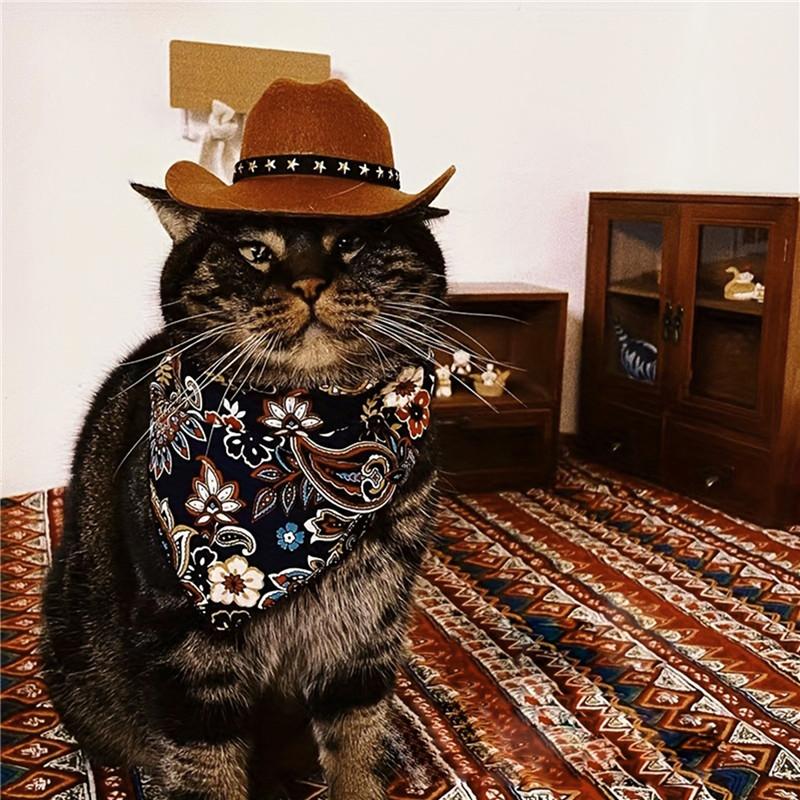 Cat Cowboy Hat Pet Headdress Western Hat Headdress for Taking Photos Cute Pet Hat Selling Cute Artifact Pet Photo Accessories