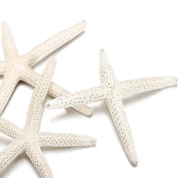 5/25/50 шт. плоские сушеные морские звезды, поделки своими руками, мини-морские ракушки, украшения, морской декор
