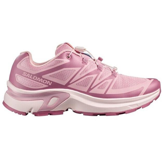 Треккинговые ботинки Salomon XT-EVR GTX Women