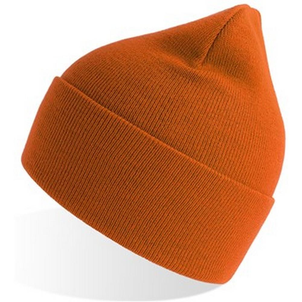 Atlantis Unisex Adult Pure Recycled Beanie