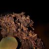Brick Black Tea 250g Yunnan Puerh Ripe Tea Bulang Mountain Old Cooked Pu-erh Tea