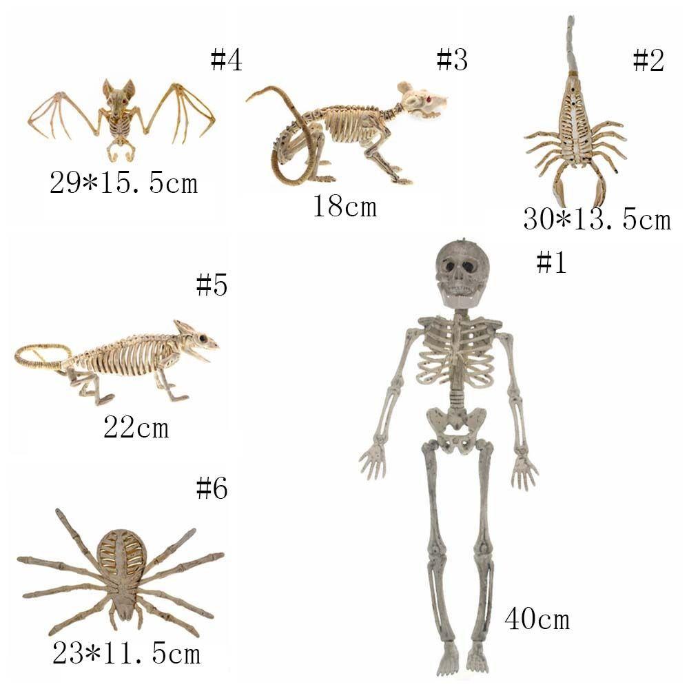 Skeleton Model Halloween Animal Skeleton Bat Mouse Lizard Scorpion Halloween Bats Skeleton Home