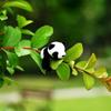 Плюшевая панда Магнит Мягкая наклейка на холодильник Хлопковый аксессуар Милый Для украшения холодильника Декор детской комнаты Любителям панд'