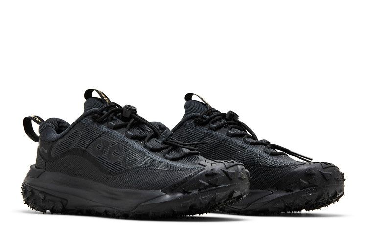 Nike ACG Mountain Fly 2 Low Темно-дымчато-серый