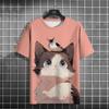 Funny Animal Men's T-Shirts Cute Cat Graphics 3D Printed T-Shirts