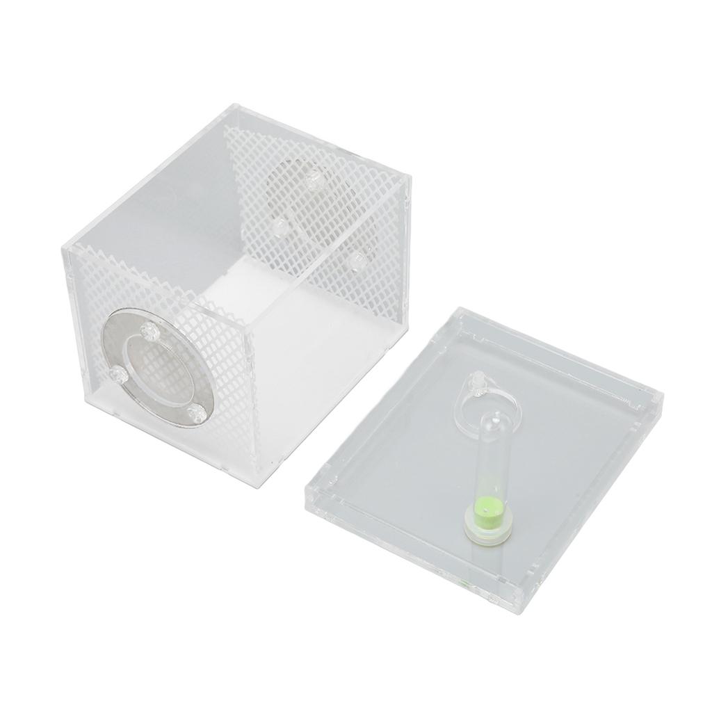 Reptile Insect Enclosure Tank Mini Acrylic High Transparency Moisturizing Reptile Insect Breeding Box S