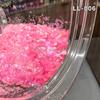 Aurora Color Shift Chunky Glitters Bulk Craft Nail Glitter Mix Iridescent Color Chunky Glitters for Face Tumbler Craft Decor