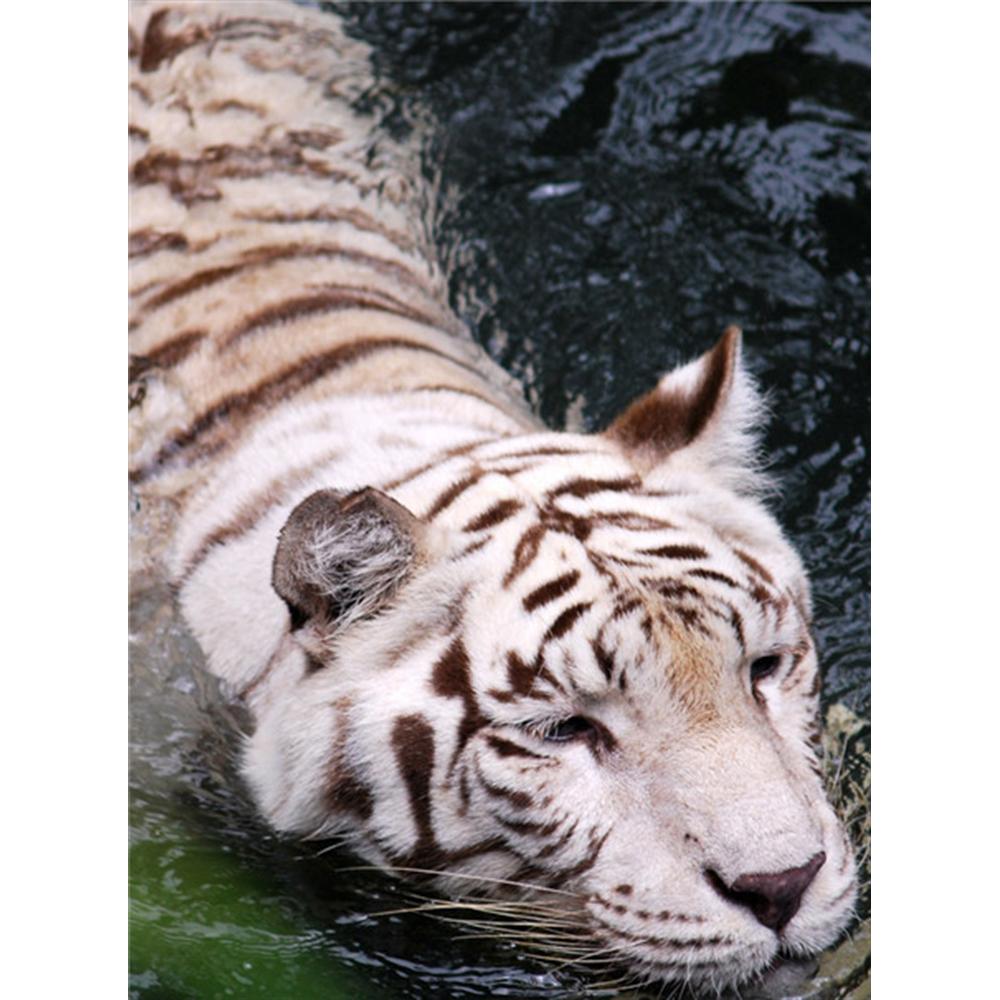 5D DIY Алмазная картина Животные Овцы Стразы Полный квадратный/круглый Алмазная вышивка Лев Мозаика Подарок ручной работы