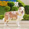 Clear Pet Raincoat Rain Jacket  Pet Coat for Samll Medium Dogs Teddy Shiba Dog  Outdoor Walking Pet Clothes