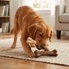 Wear Tough Dog Molar Stick Beef Scent Durable Bite Toy  Indoor Outdoor Play