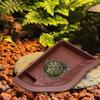 Aquarium Water Dish for Reptiles with Ramp, Tortoise Feeder And Snake