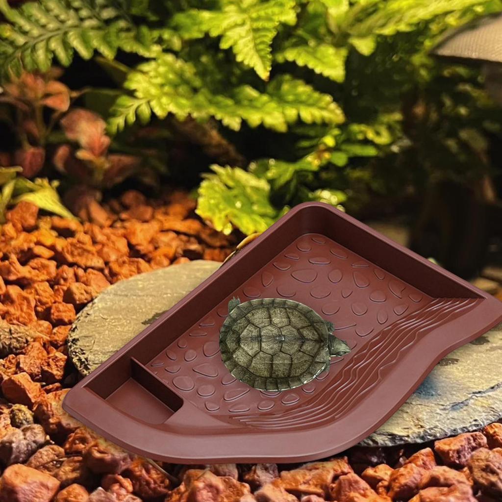 Aquarium Water Dish for Reptiles with Ramp, Tortoise Feeder And Snake