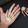 1 пара Хэллоуин Поддельные руки скелета Кость Страшная человеческая рука Хоррор Реквизит для украшения Хэллоуин вечеринки Принадлежности Дом с привидениями