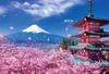 [Made In Japan] Beverly 300-Piece Jigsaw Puzzle: Mount Fuji and Cherry Blossoms At Sengen Shrine (26 X 38 Cm) 300-057