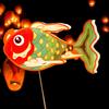 Carp Lantern DIY Handheld Chinese New Year LED Fish Lantern for Party Traditional Festival Decorations