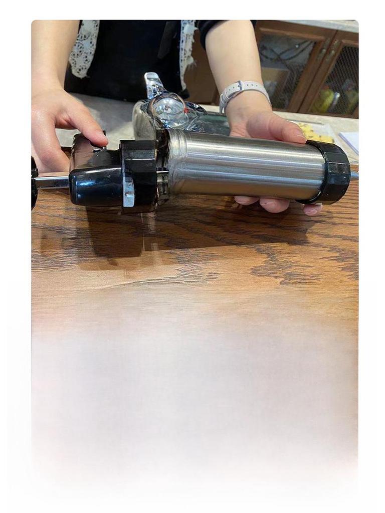 Stainless Steel Cookie Decorating Gun & Mold Set