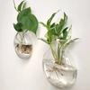 1/2/4/6pcs Flat Glass Vase Wall Hanging Glass Terrariums Planter Transparent Wall Mounted Vase