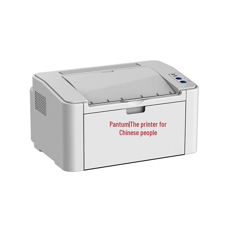 Pantum P2585 Mono Laser Printer CN plug (adapter included)