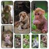 Милый чехол с изображением обезьянки для Huawei Nova 9 10 SE 11i 8i 7i 3i Nova 5T Y60 Y61 Y70 Y90 P20 P30 P40 Lite P60 Pro