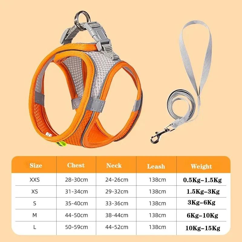 Cat Harness and Belt Set Breathable Accessories for Cats Pet Products Necklace Collar Pets Supplies Home Collars Things Cats