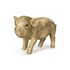 Woobia Golden Pig 22 X 10 X Doll Figure Ornament Animal Garden Decoration Pig (Medium) 12.1cm H11318-12