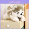 Сибирский Плюшевый Очаровательный Щенок Хаски Мягкая Игрушка Идеально Подходит для Детских Подарков