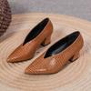 Retro Shallow Mouth Pointed Head Coarse Heel Single Shoes Women's New Spring and Autumn All Match High Heels