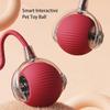 Intelligent Teasing Cat Ball Pets Play Boredom Toys Decompression Automatic Rolling Toy Ball Sound Wake-up Rechargeable Ball Toy WLL2482