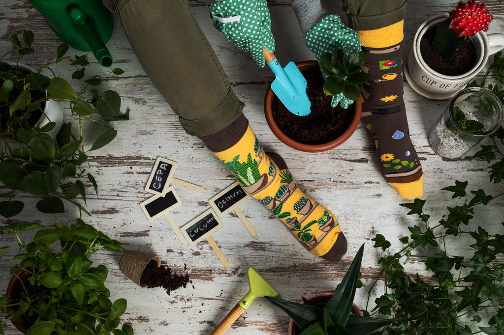 Садоводство - разноцветные носки 44-46