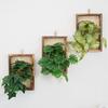 Настенное искусственное растение в раме, искусственная зелень, растение в раме для стены