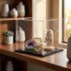 High Clarity Dust-proof Display Box Assemble Anti-Scratch Clear Display Case Sturdy Pressure Resistant