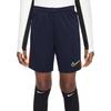 Dri-FIT Academy 23 Футбольные гладкие мягкие трикотажные влагоотводящие прохладные удобные шорты Детские шорты цвета обсидиан, оранжевый, ярко-фиолетовый DX5476-475