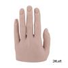 Silicone Practice Hand for Nail Art Mannequin with Adjustment Fingers Adjustment Jewelry Display Model Moveable Nails