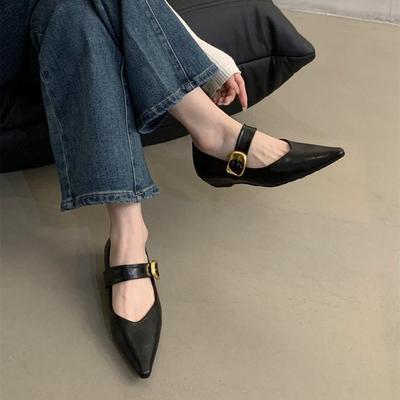 Туфли-лодочки на толстом каблуке, женские, 2025, новый темперамент, мягкая подошва, удобная мода с туфлями Мэри Джейн