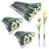25pcs Plastic Planting Tube Water Containers Pole Multi-purpose Lengthened Nutrient Tube Bouquet Storage Holder