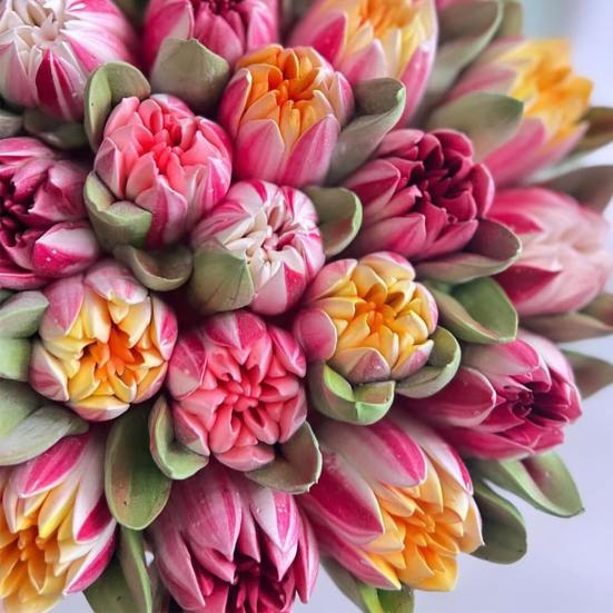 Насадки для кондитерских изделий Yousheng Russian, насадки для кондитерских изделий в виде роз, из нержавеющей стали, очень большие насадки для глазури, насадки для кондитерских изделий для украшения тортов глазурью