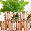 Luxury Copper Glass Tumbler, Drinkware, 300 Ml Each, Set of 6